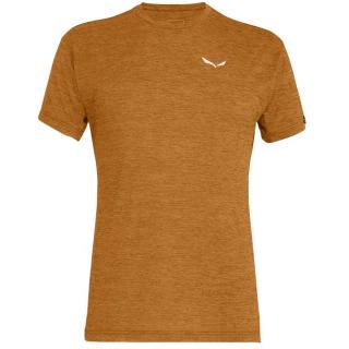 ​Ανδρικά ορειβατικά μπλουζάκια Salewa Puez Melange dry T-shirt brown-gold